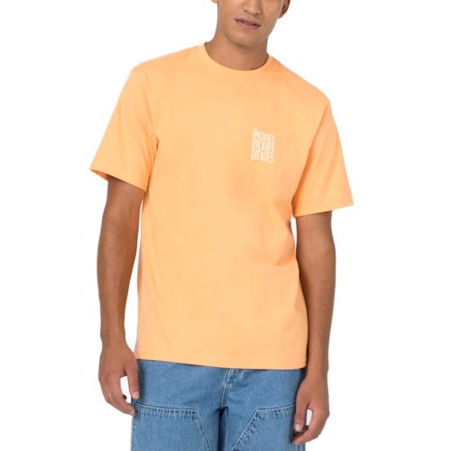 26699-01
